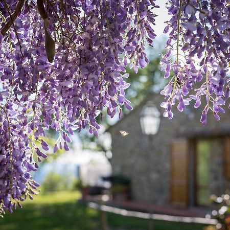 Le Cetinelle Pension Greve in Chianti Buitenkant foto