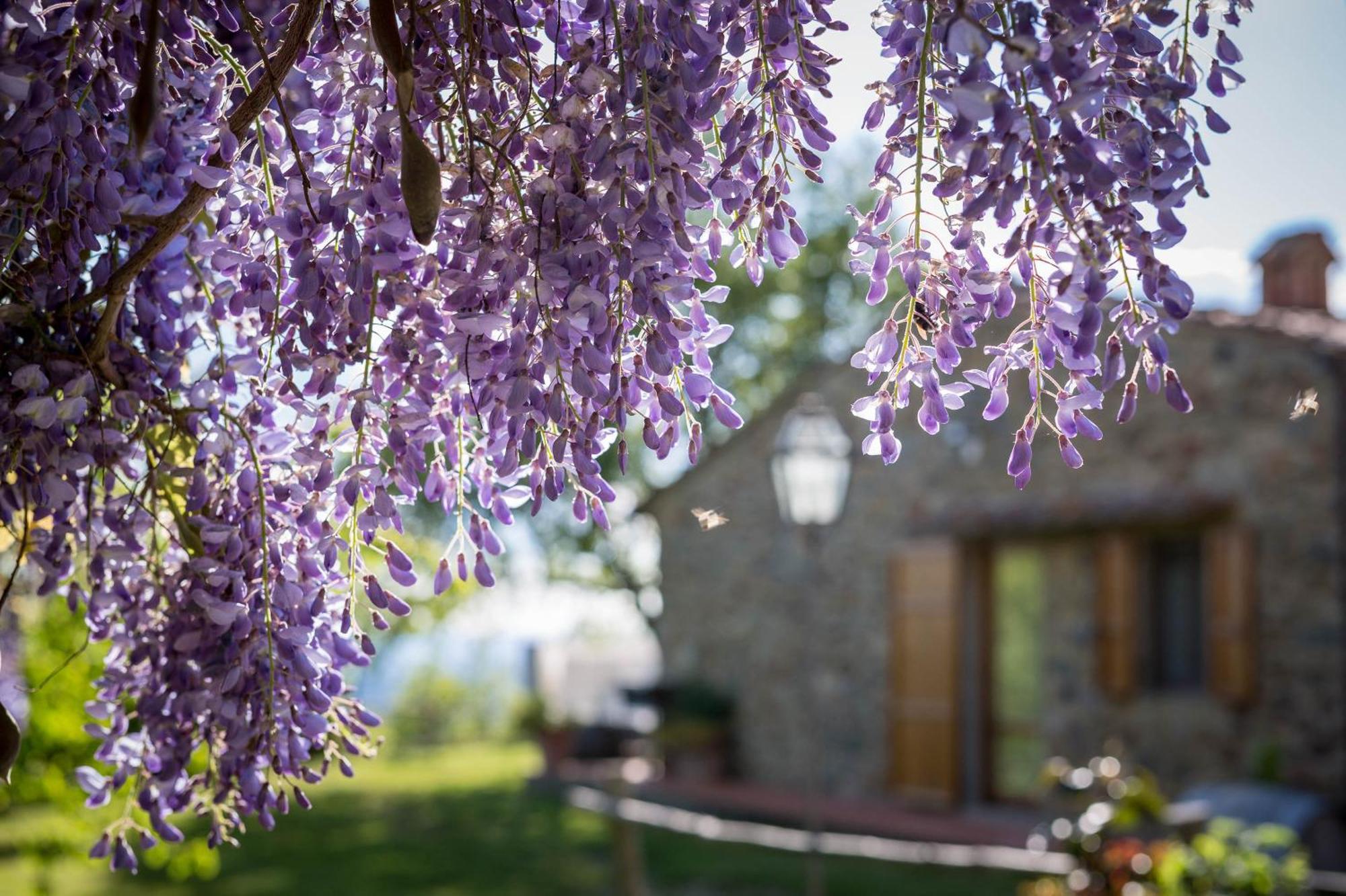 Le Cetinelle Pension Greve in Chianti Buitenkant foto